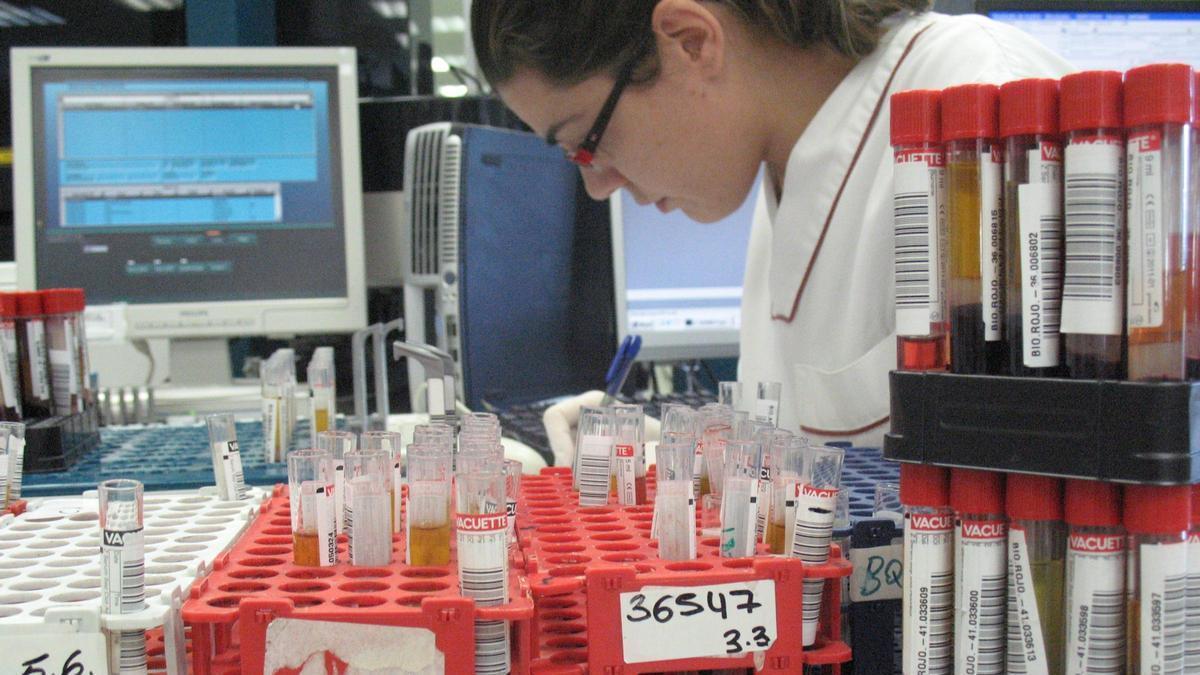 Investigadores alicantinos identifican una mutación genética relacionada con la hidrocefalia