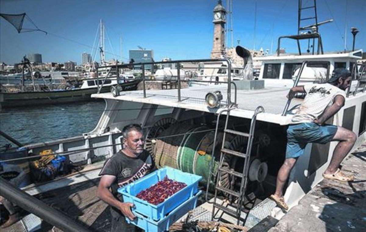 Unos pescadores descargan el género en el Moll dels Pescadors.