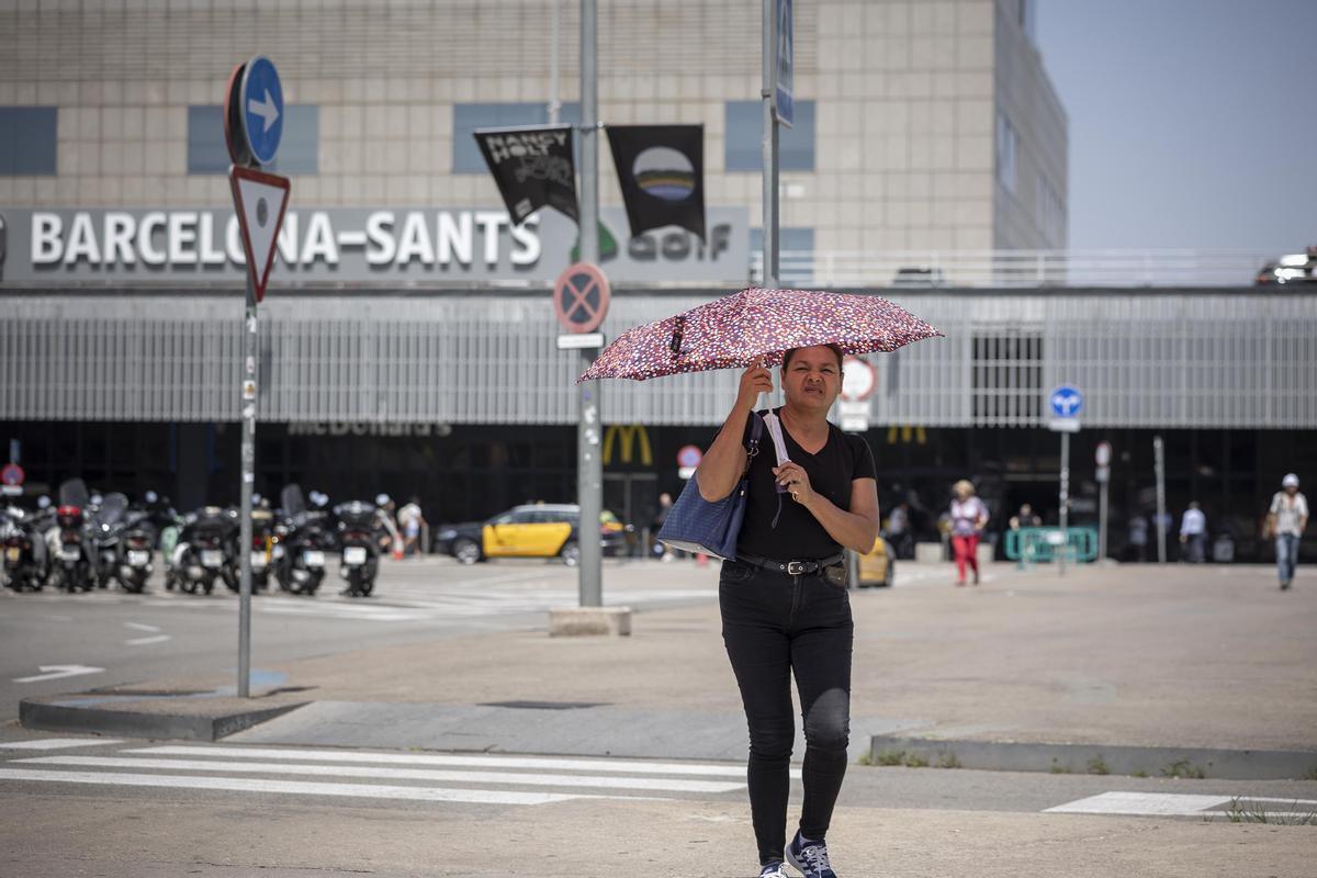La OMS advierte sobre la ola de calor en Europa: &quot;Sin preparación, puede ser mortal&quot;.