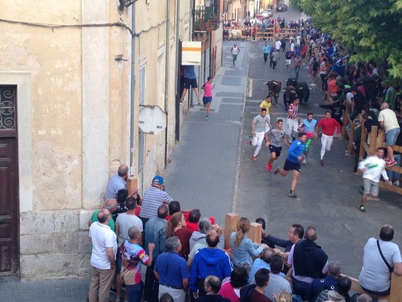 Fiestas Toro: Encierro urbano y suelta de vaquilla