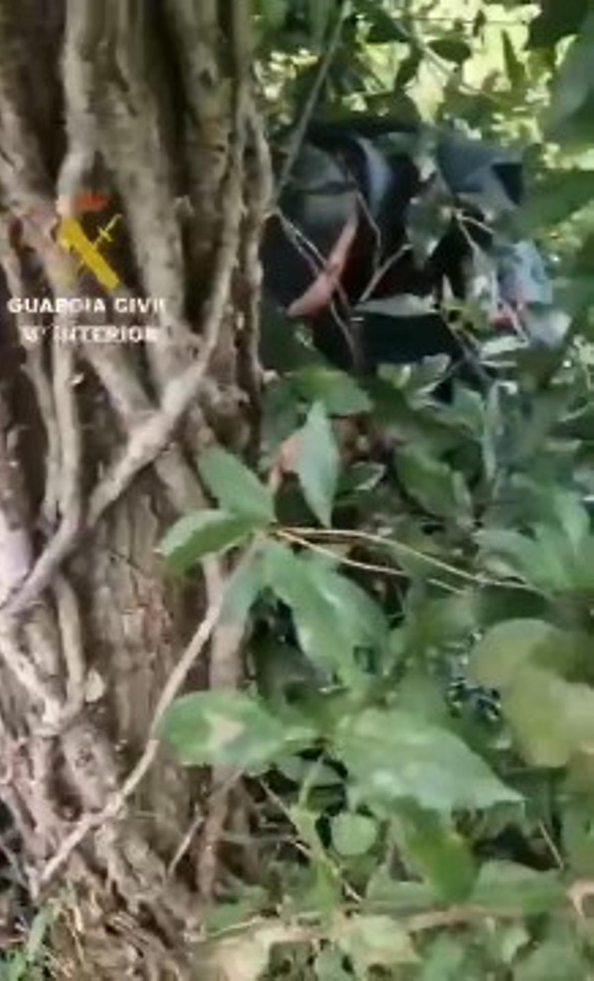 Momento en el que un agente de la Guardia Civil localiza al hombre.