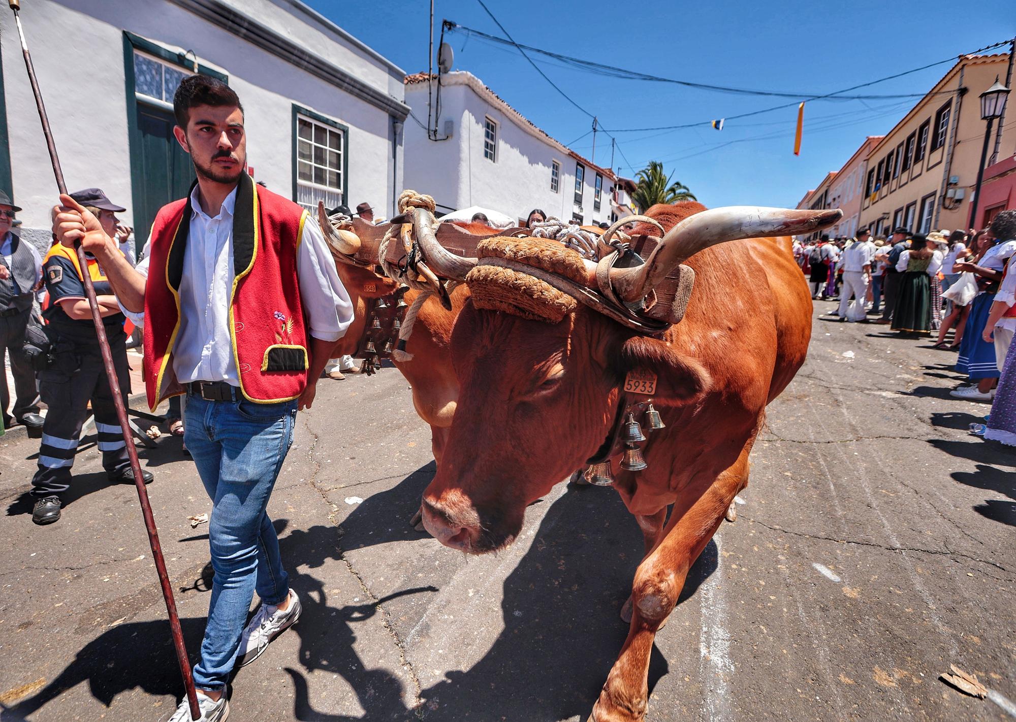 Romería de Tegueste