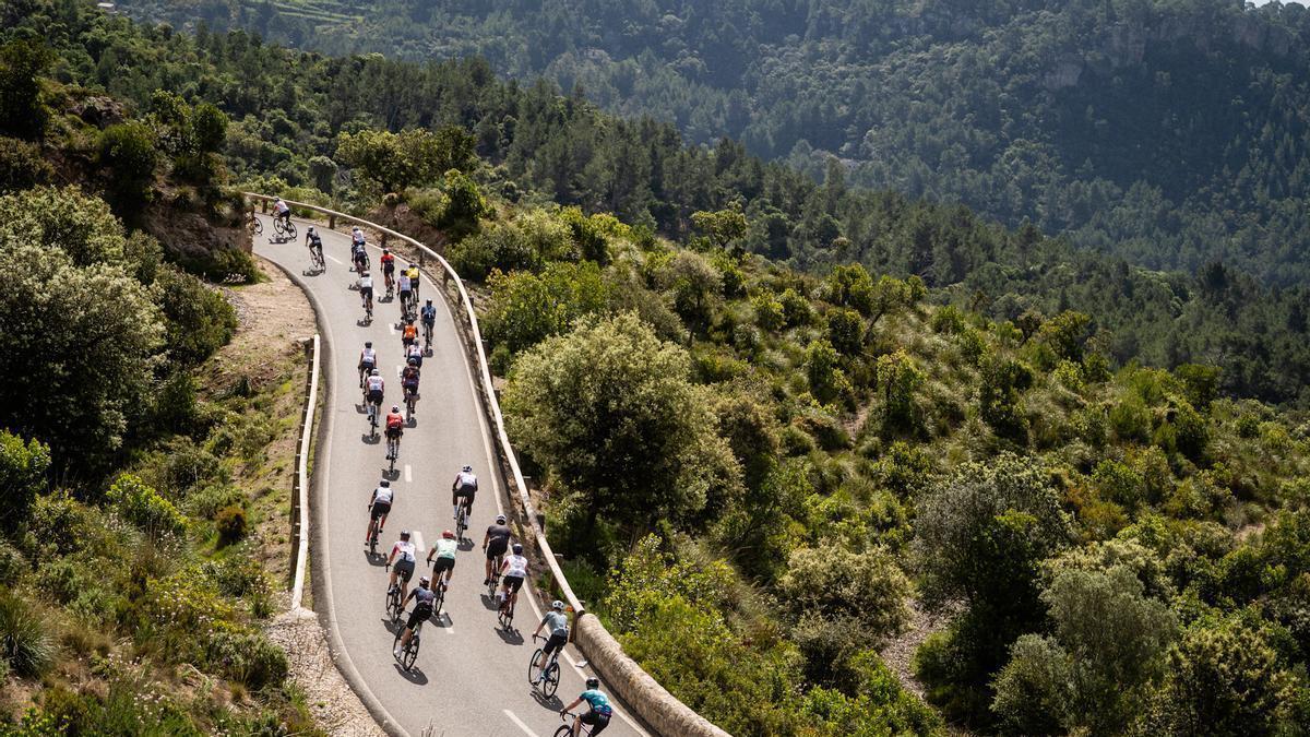 El pelotón de la Mallorca 312 OK Mobility llena de color las carreteras de la isla