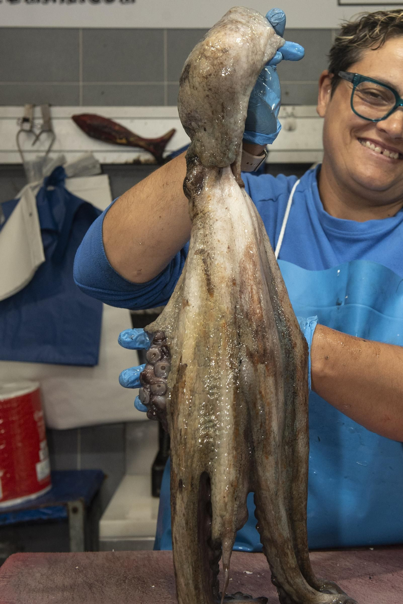 El pulpo gallego vuelve a los mercados de A Coruña tras tres meses de veda
