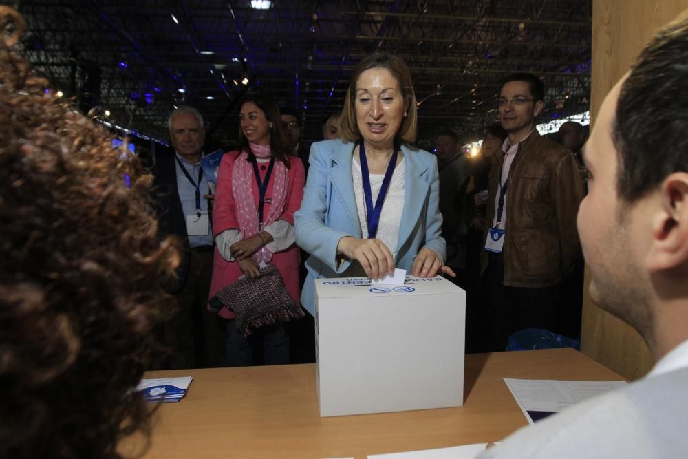 El PPdeG aclama a Feijóo en su congreso en Ourense