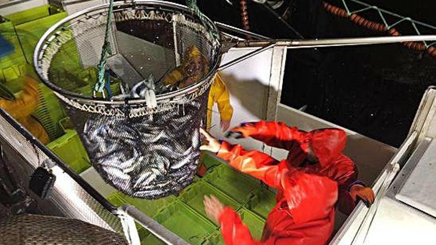 Un barco de cerco gallego durante la pesca de sardina.