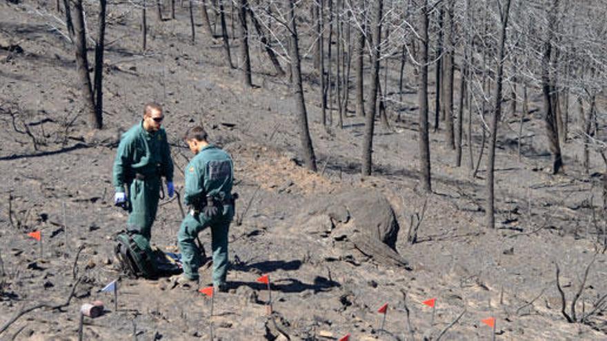 La Guardia Civil trabaja sobre las causas del incendio.