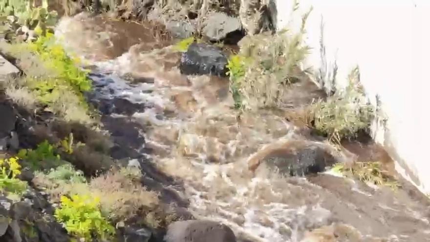 El Barranco de Sibora, en Los Silos, corre por las lluvias de la borrasca Therese en Tenerife
