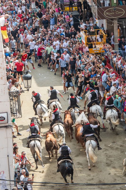 Fotogalería de la segunda Entrada de Toros y Caballos de Segorbe