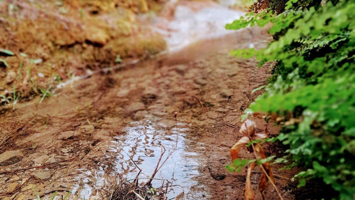 Detalle de la fotografía ganadora del certamen de Altura.