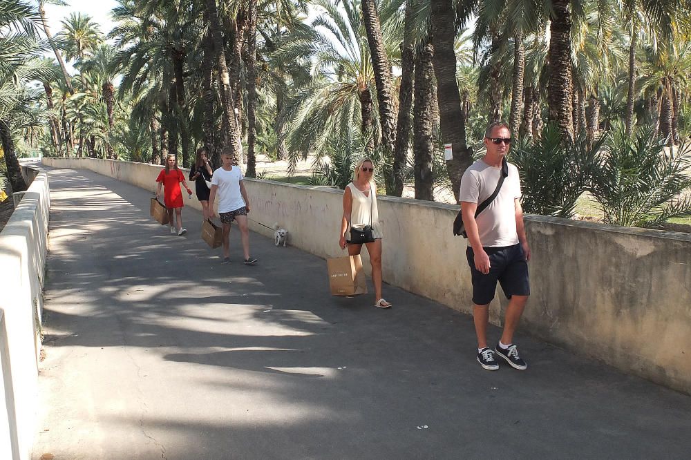 La ruta del Palmeral, abandonada