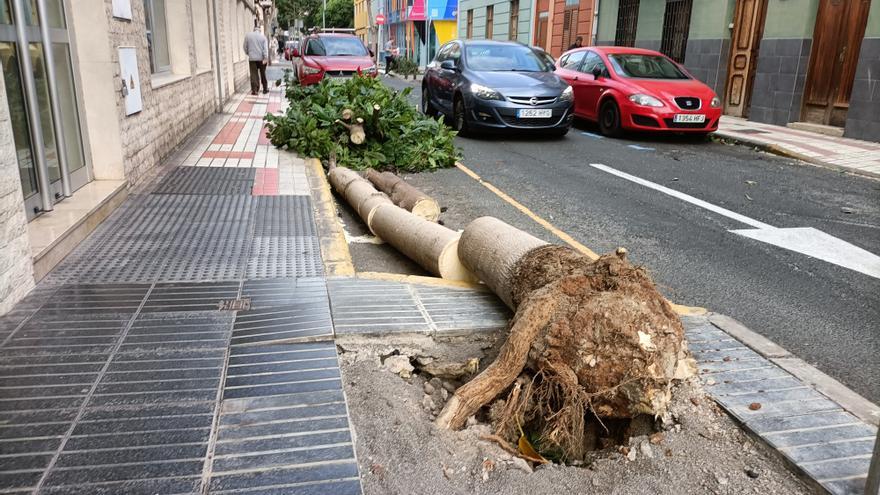 Daños por fuertes vientos en Gran Canaria