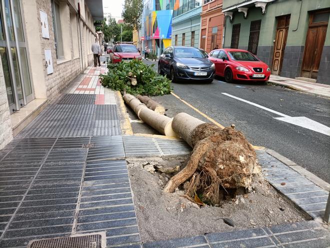 Daños por fuertes vientos en Gran Canaria