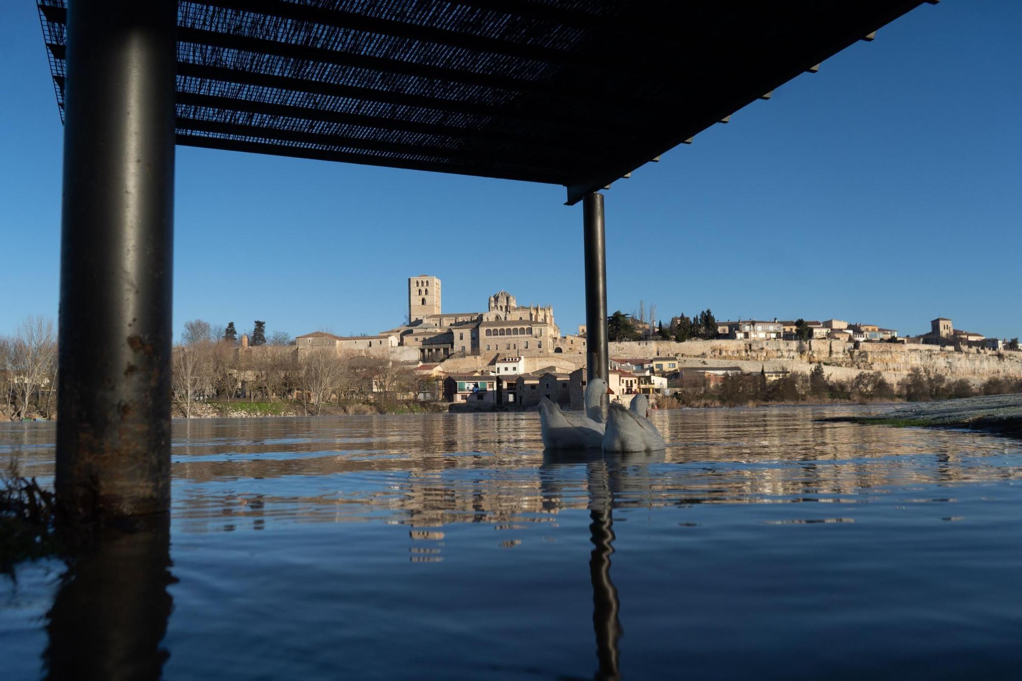 GALERÍA | Un año en imágenes: Las mejores fotografías del 2023 en Zamora