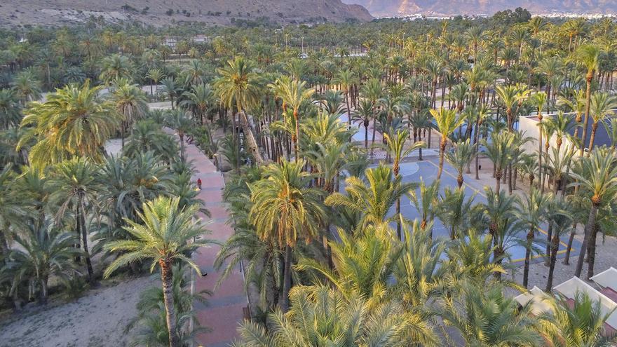 El Palmeral de Orihuela se suma a la red europea de jardines históricos