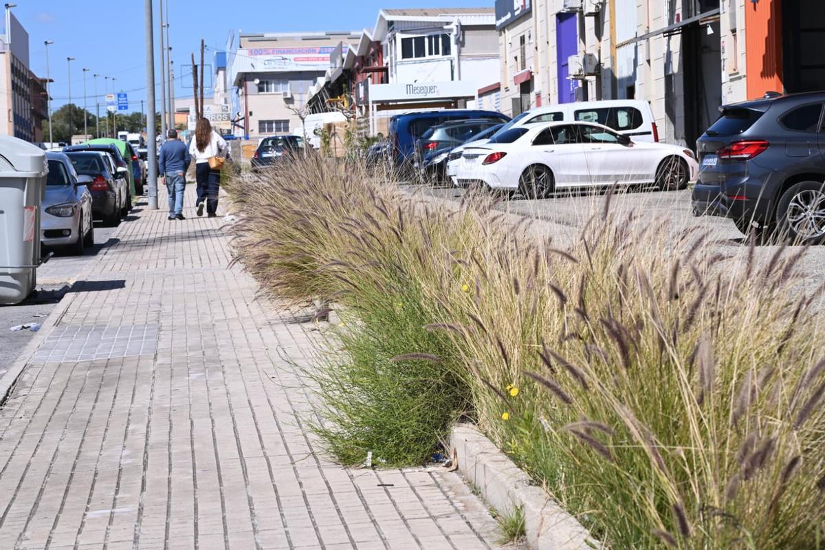 Maleza en una de las zonas de tránsito junto a las fábricas en Carrús