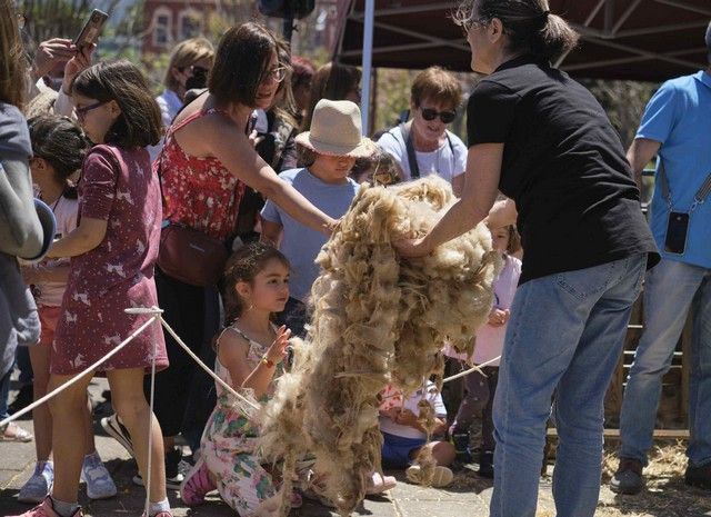 Feria de la Lana de La Orotava