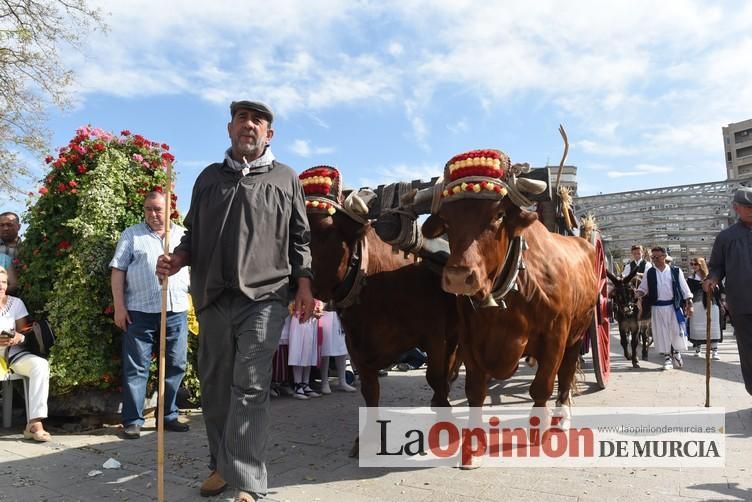 Desfile del Bando de la Huerta (2)