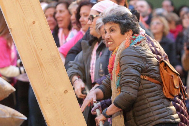 Plantà al tombe de la falla Palleter-Erudito de Orellana