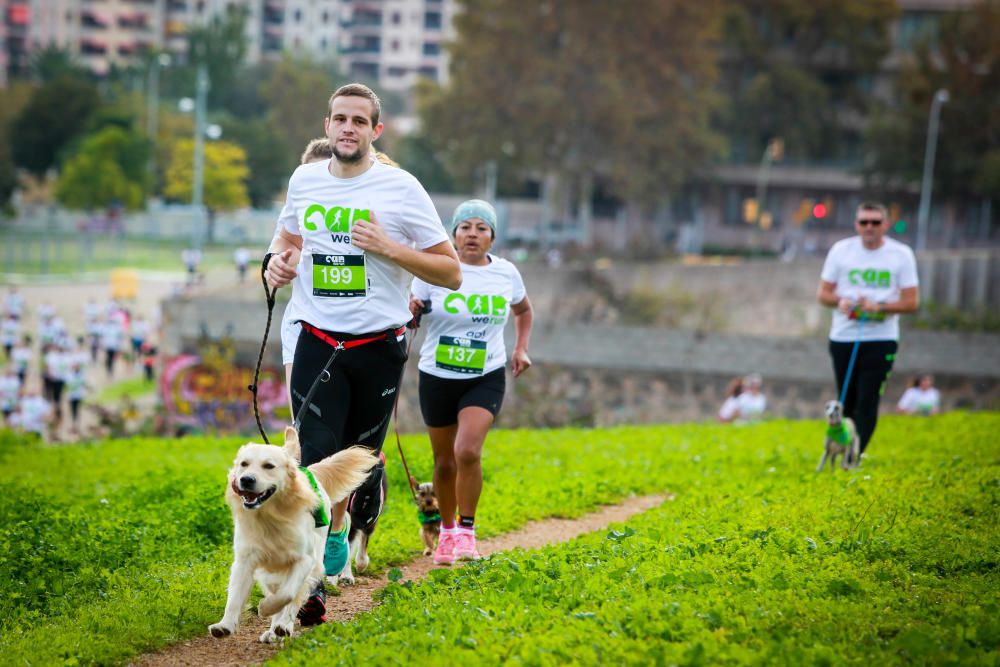 Can We Run Mallorca: So war das Hunderennen