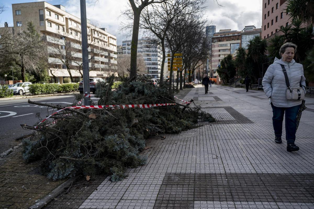 Fotogalería | El temporal en imágenes en Cáceres