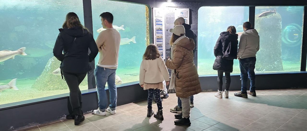 Un grupo de turistas en las instalaciones de Acuario O Grove, ayer.