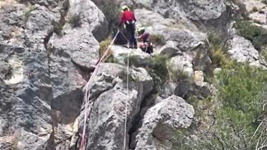 L&#039;esportista va quedar penjat a uns 20 metres de terra.