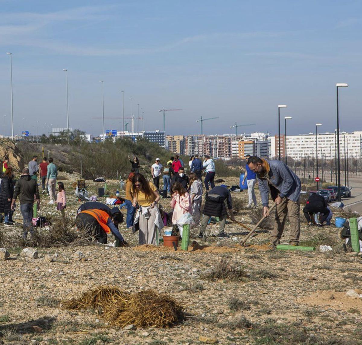 Desde 2019 se han plantado cientos de árboles en Valdespartera.  | FOTOS: INGRID GUYON/ SERVICIO ESPECIAL