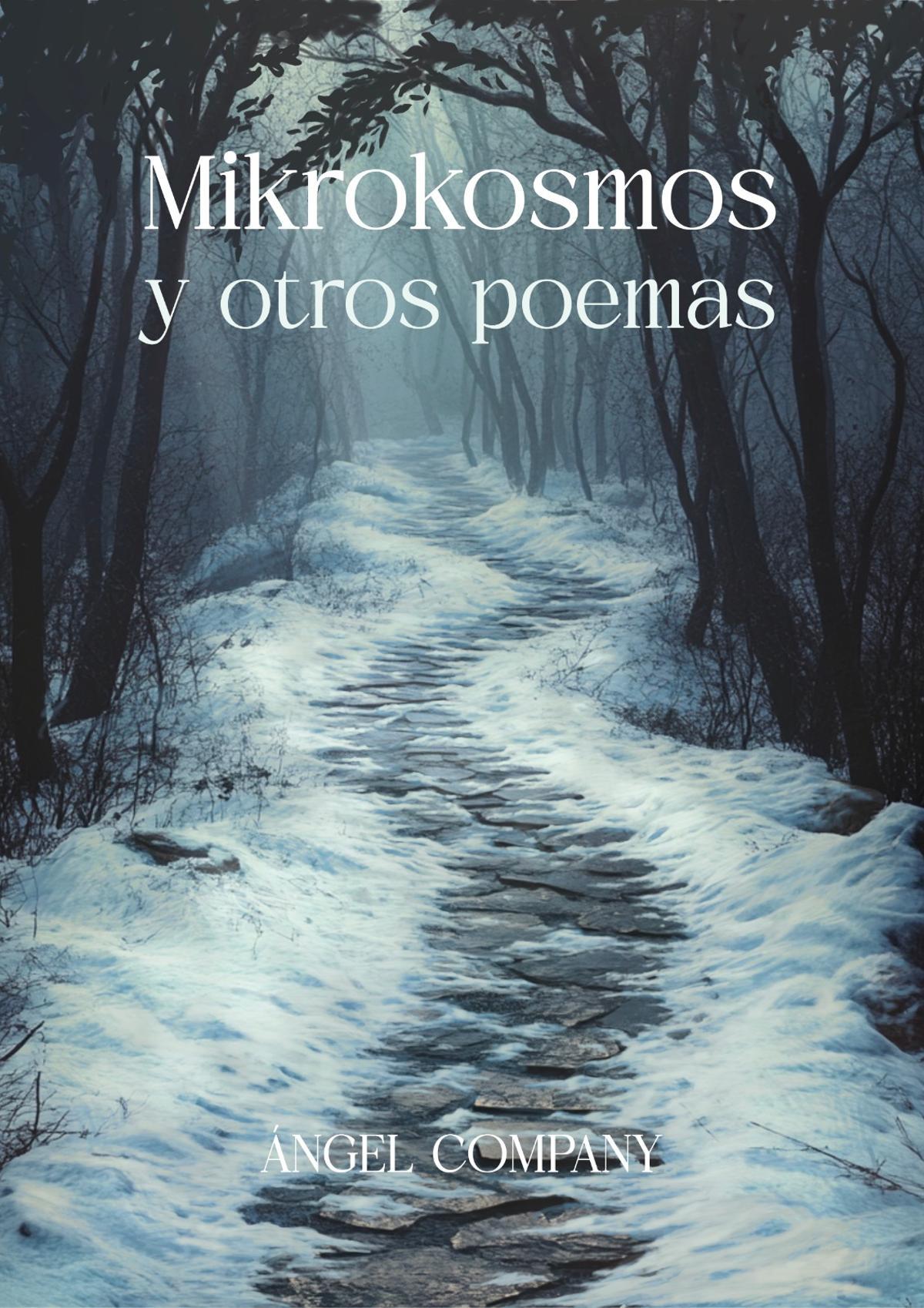 Portada del nuevo poemario del escritor albaidense Ángel Company.