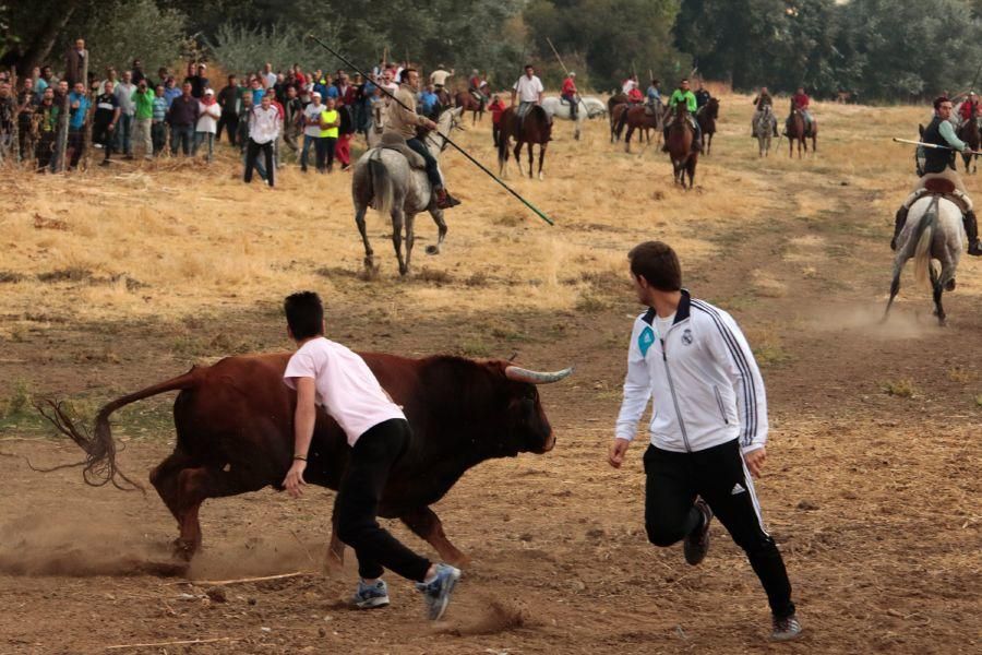 Encierro en San Miguel de la Ribera