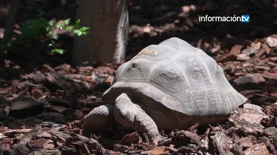 Bioparc estudiará el comportamiento de los animales durante el eclipse