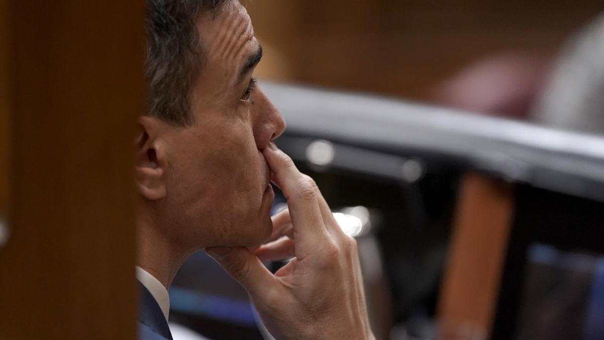 Comparecencia de Pedro Sánchez en el Congreso de los Diputados
