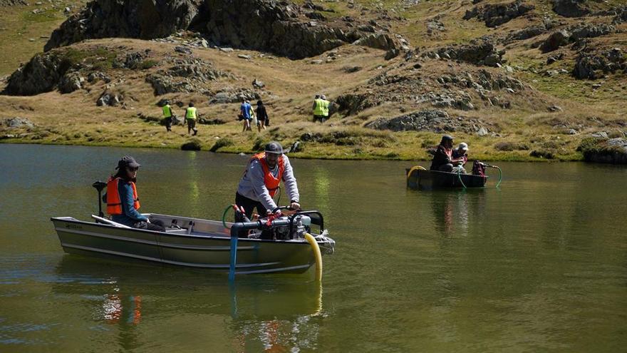 Èxit en l’eliminació dels peixos de dos estanys pirinencs