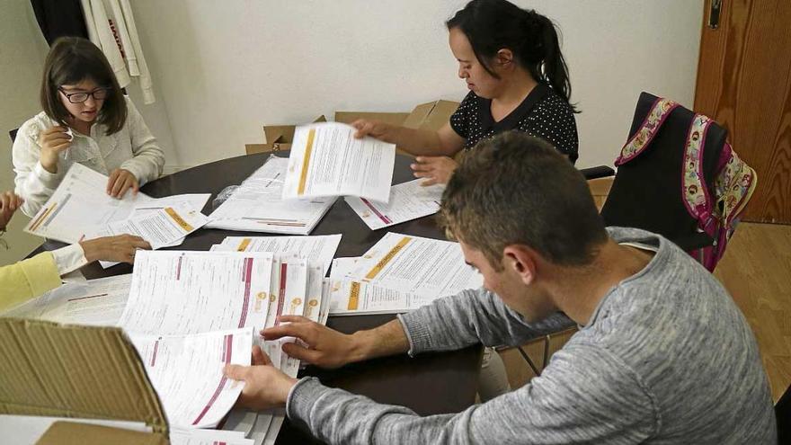 Los tres jóvenes haciendo sus prácticas en la Conselleria.