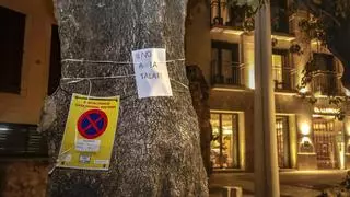 Revuelta de vecinos contra la tala de árboles en la plaza Llorenç Villalonga en Palma