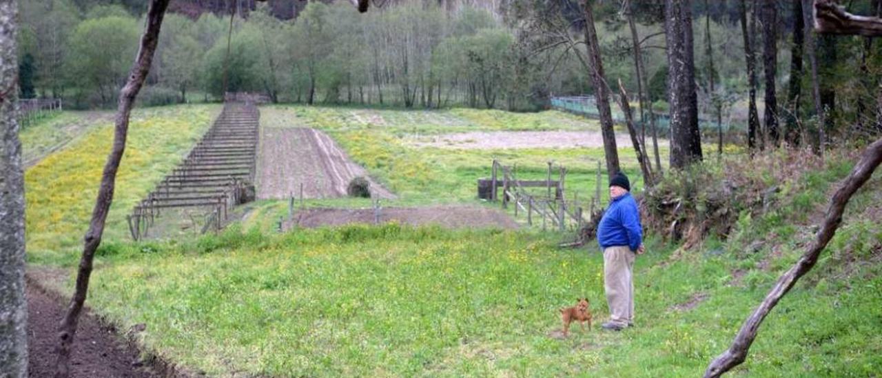 Un hombre camina por una zona de campos de la parroquia de Setecoros, en Valga, ayer. // Noé Parga