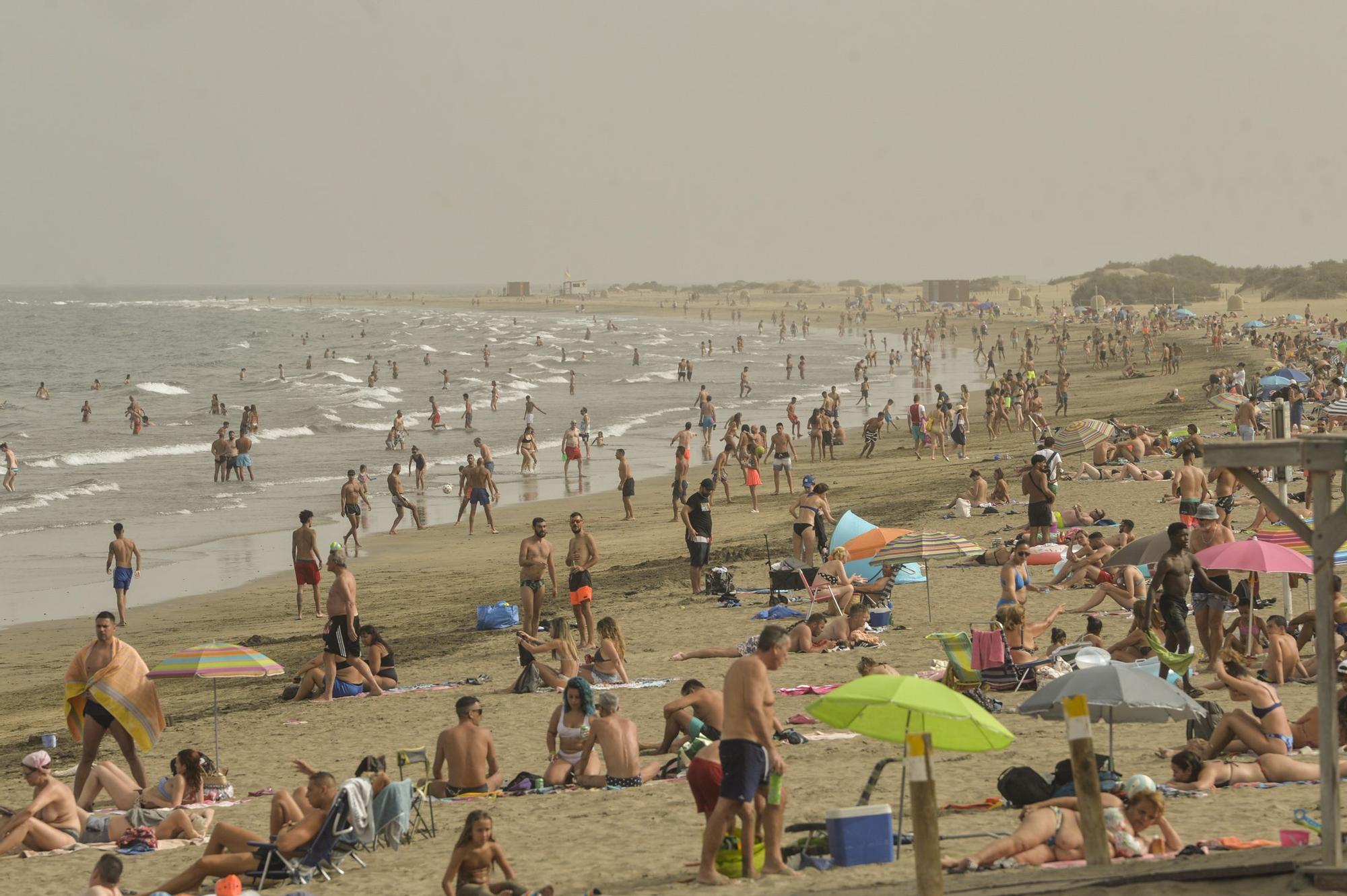 Riesgo de incendio en Gran Canaria por el fuerte calor (13/07/2021)