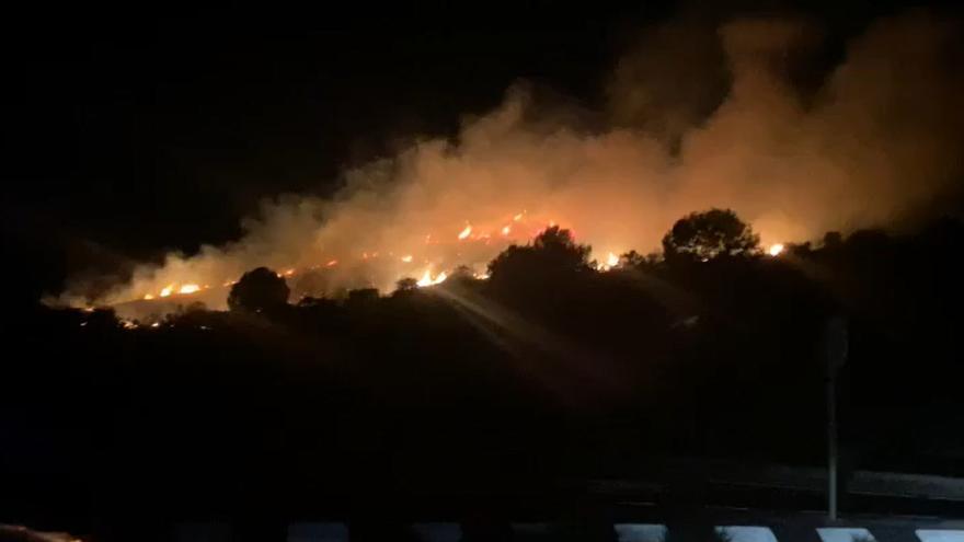 Incendio en el marjal de Pego-Oliva