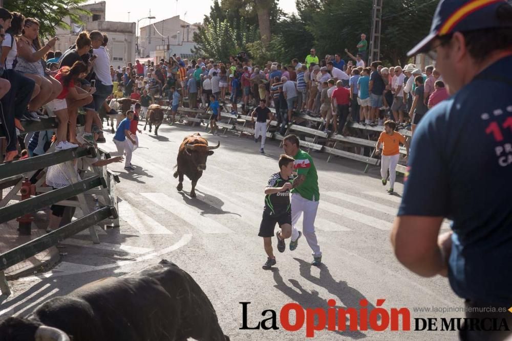 Tercer encierro en Calasparra