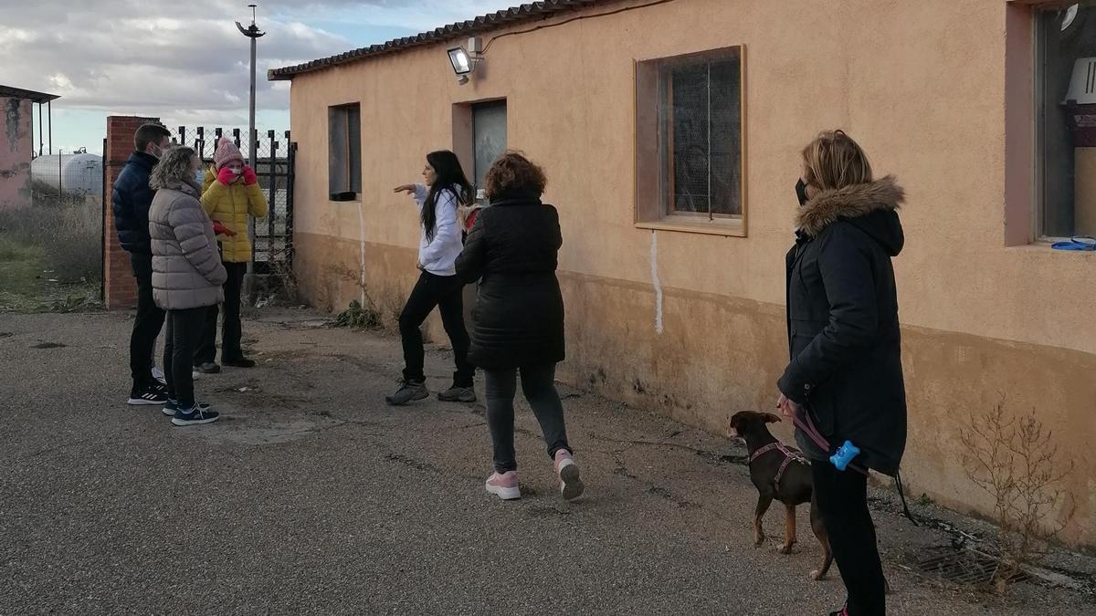 Voluntarios muestran a vecinos el refugio de los animales abandonados en Toro