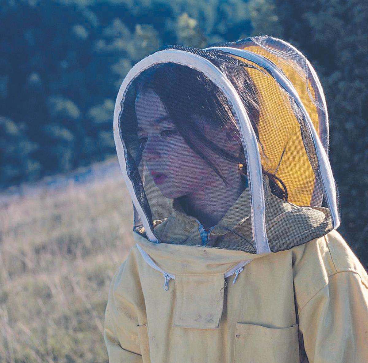 Una imagen de '20.000 millones de abejas'.