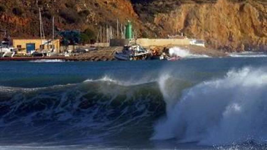 El temporal hace que remonte la pesca de gamba roja en la Marina Alta