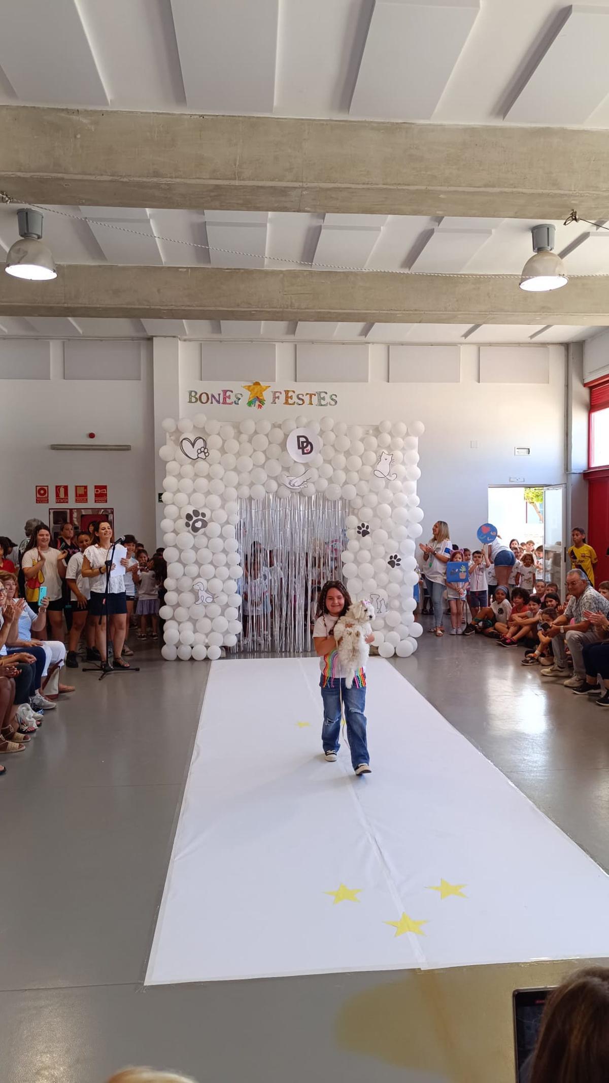 Pequeños diseñadores solidarios y amantes de los animales en Sant Antoni Pequeños diseñadores solidarios y amantes de los animales en Sant Antoni