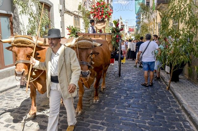 Procesión y romería de la fiesta de Las Marías