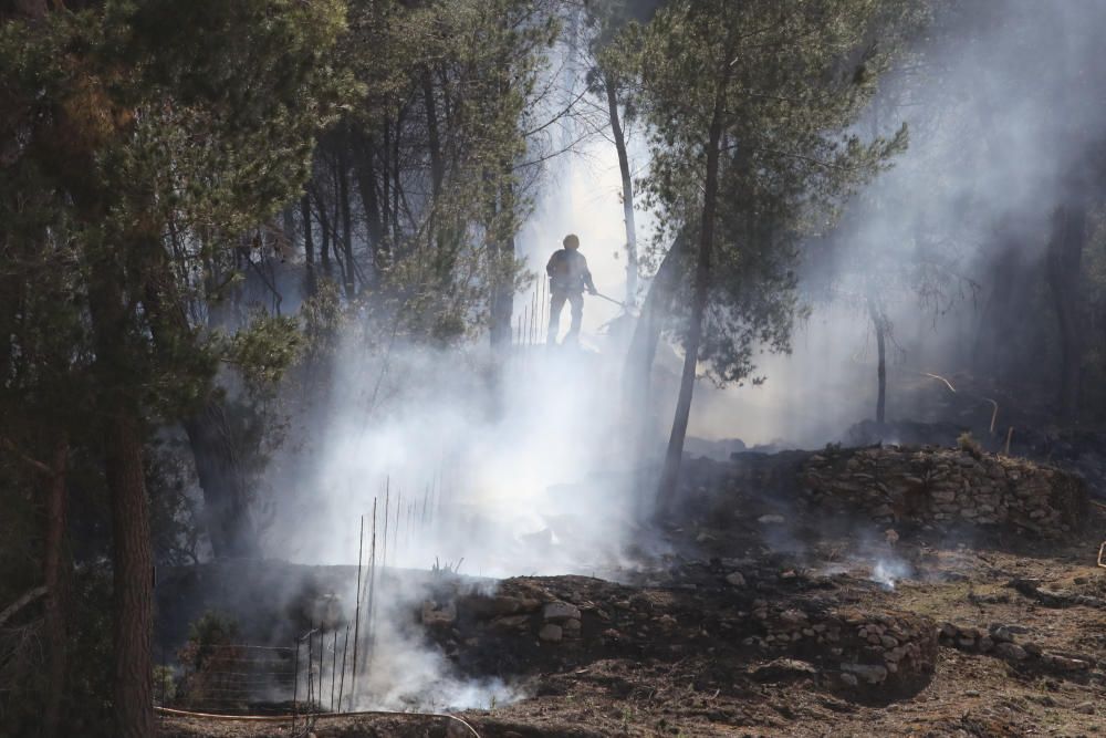 Incendio forestal en Sant Antoni