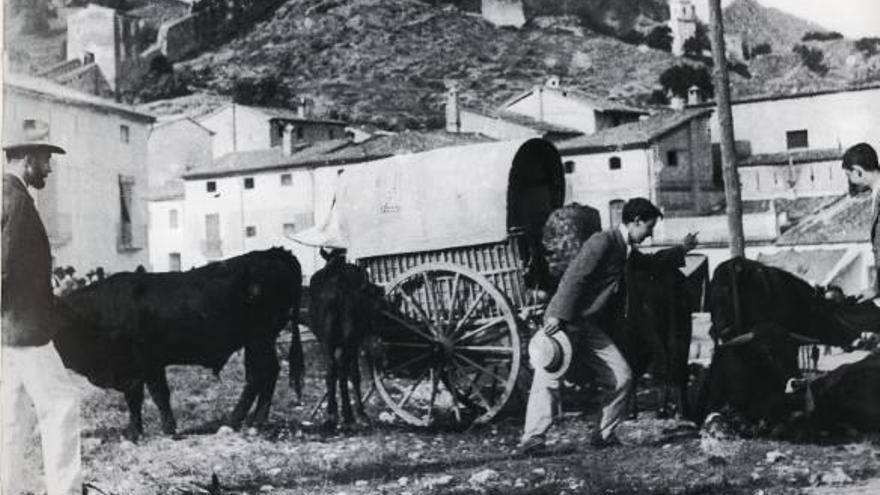 Imagen de una ubicación de la Fira de Bestiar de Xàtiva, en torno al año 1900.