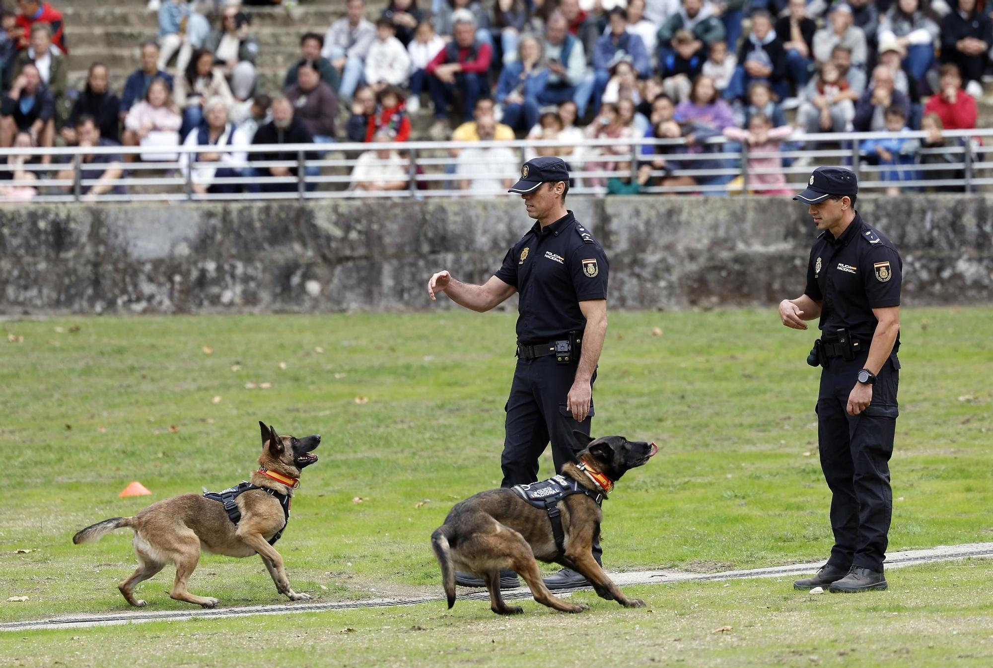 Exhibición de la Policía Nacional en el auditorio de Castrelos en Vigo