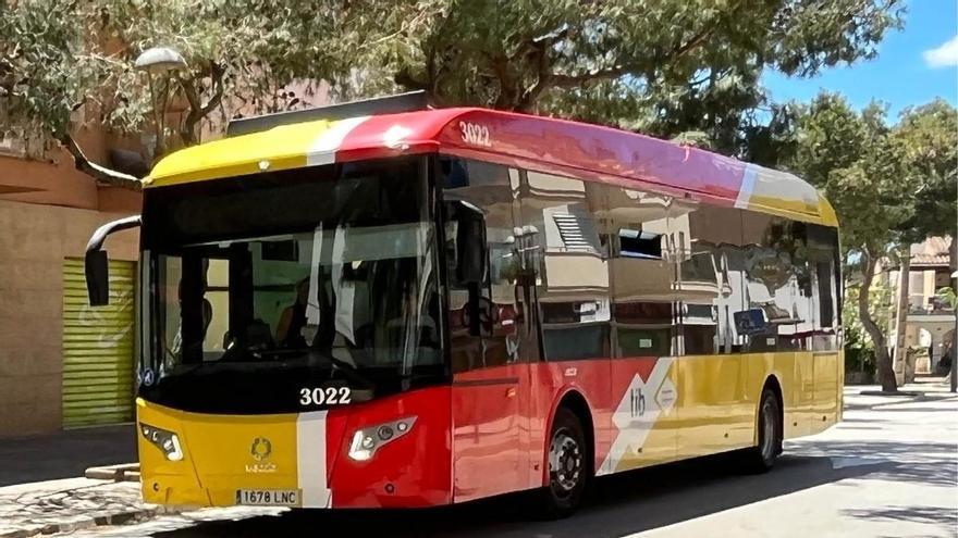 El bus del TIB amplía el servicio desde este viernes con la reactivación de líneas en las zonas de Alcúdia y de Ponent