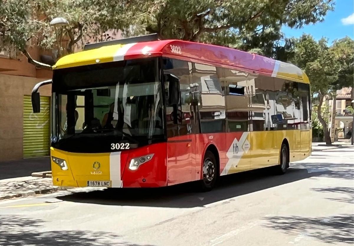 Un autobús del TIB.
