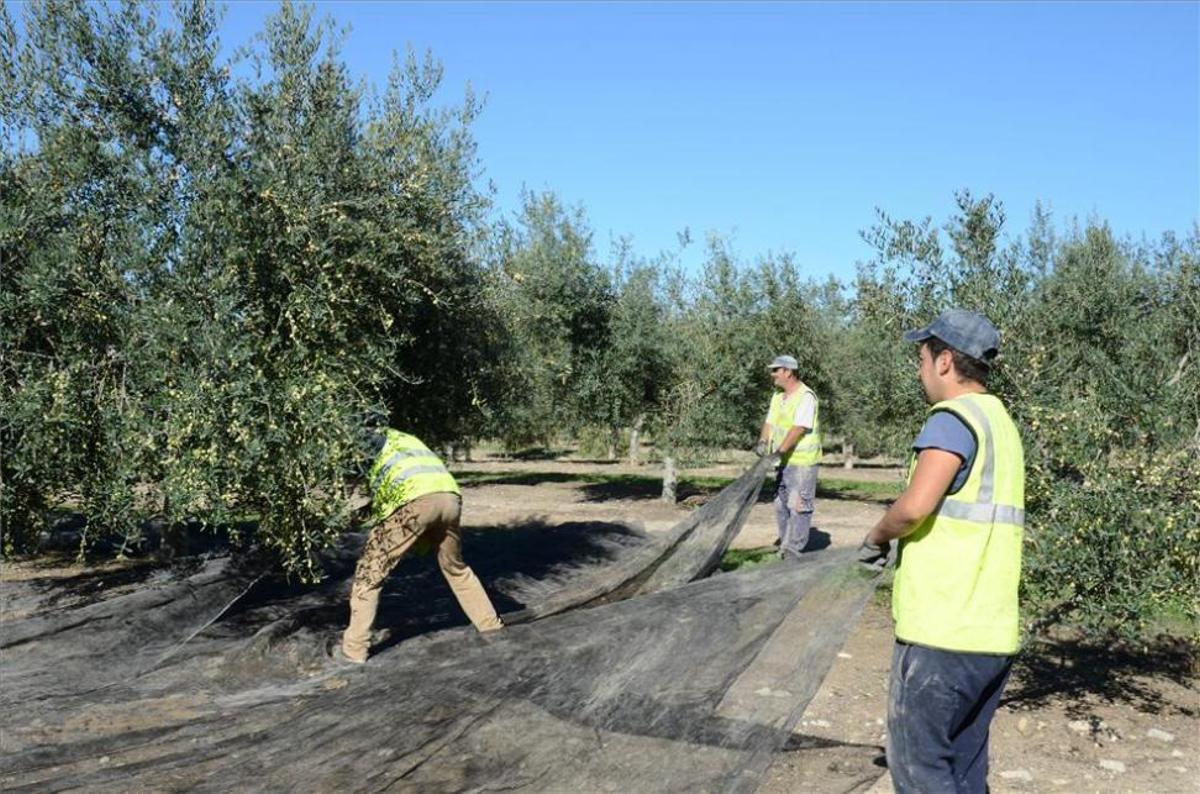 La compra de fincas rústicas, en niveles previos a la crisis